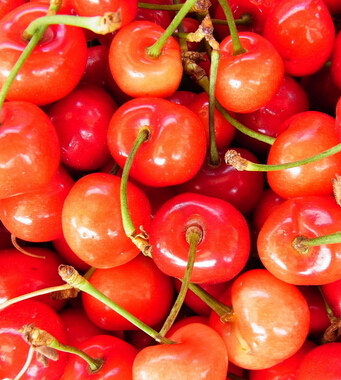 吃櫻桃有什么好處 夏食櫻桃補(bǔ)氣養(yǎng)心