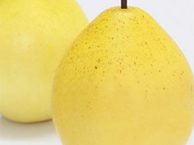 肌膚就要補(bǔ)水，什么補(bǔ)水效果好呢？