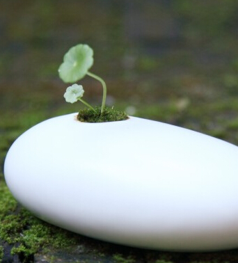 風(fēng)水羅盤 八招幫你迎來新年好風(fēng)水