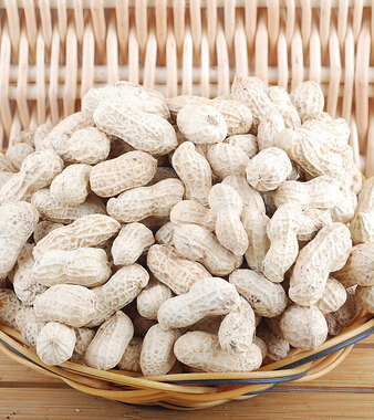 飲食與健康 9種人吃花生小心會喪命