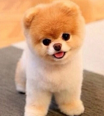 生財有道 風水學來教大家悶聲發(fā)大財