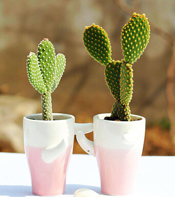 生財有道 風水學來教大家悶聲發(fā)大財