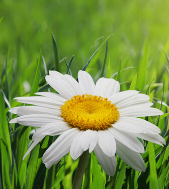 女性養(yǎng)生保健 女人需警惕這些寒涼美食