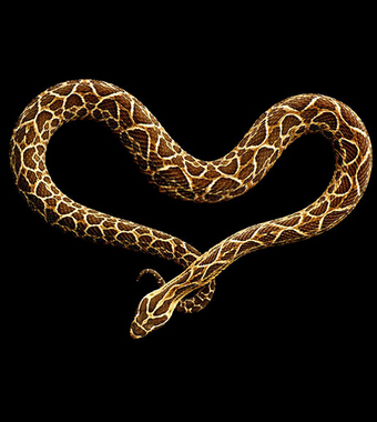 生財有道 風水學來教大家悶聲發(fā)大財