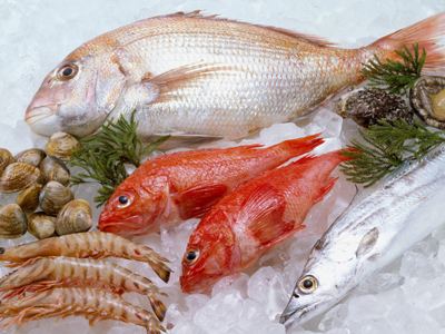 容易引起過(guò)敏的海鮮 海鮮過(guò)敏怎么辦