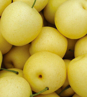 春天吃什么水果好 春吃6水果最養(yǎng)生