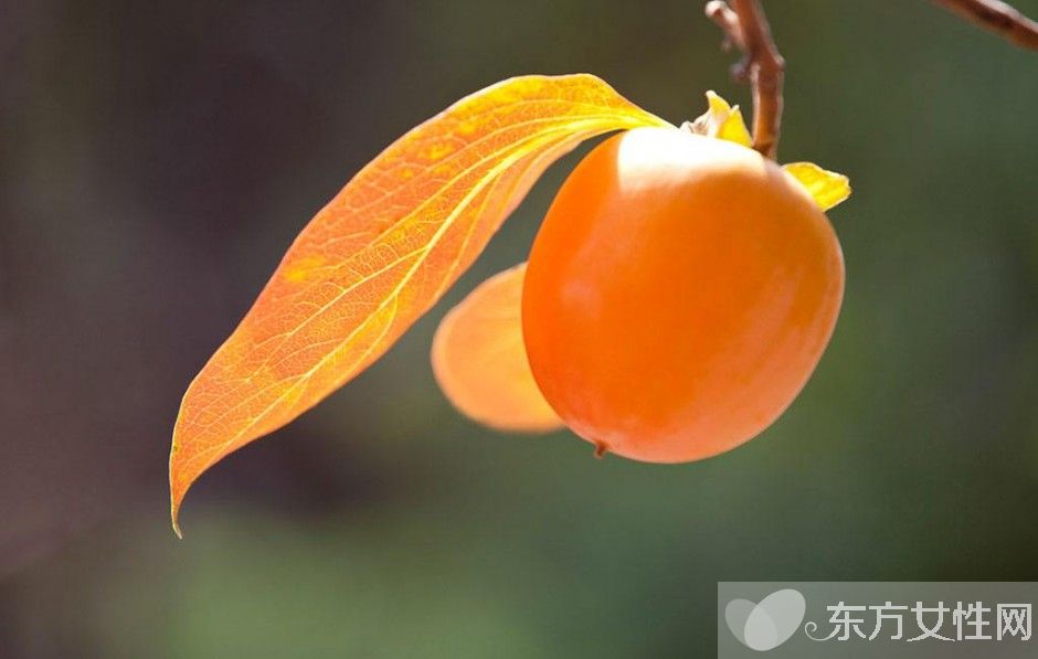 柿子怎么吃不澀 柿子相克食物大盤點(diǎn)