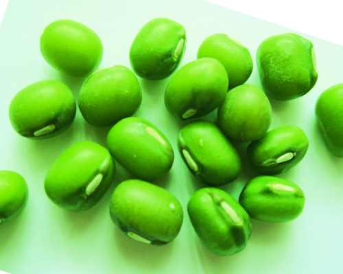 狗肉不能和什么一起吃，這點不容小視