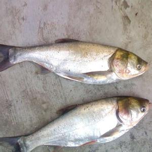 冬天吃什么養(yǎng)胃你知道嗎