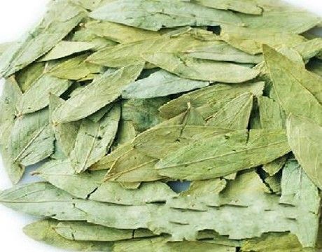 多功能的番瀉葉 番瀉葉的作用和功效