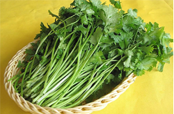 利尿健腎 香菜的功效與作用及吃法介紹