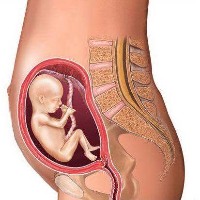 胎位不正的分類有哪些你都知道嗎