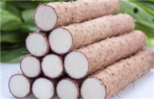 山藥怎么做好吃 四種家常做法