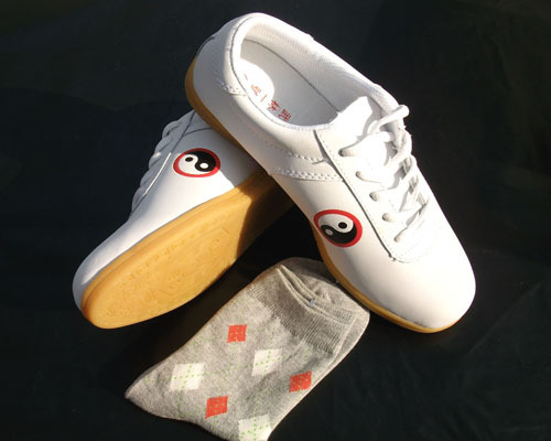 怎樣能快速學會二十四式簡化太極拳