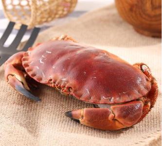 特殊人群孕婦能不能吃螃蟹