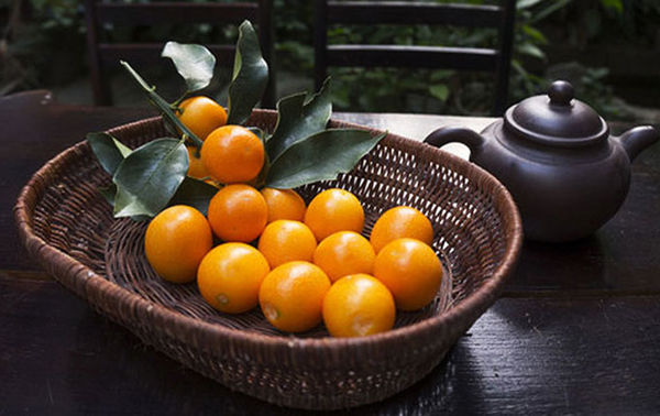 金橘是什么與金橘的功效與作用