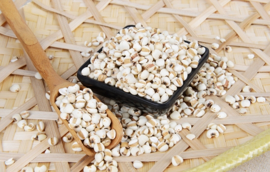 薏仁米的功效與作用及食用方法 讓你意想不到的作用