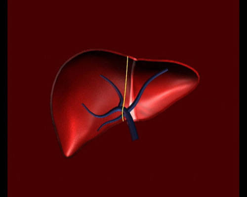 馬錢子的功效與作用，全方位為你分析