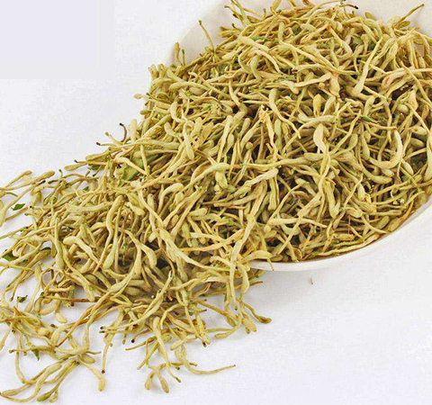 抗炎解毒 金銀花茶的功效與作用及禁忌介紹