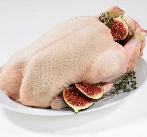 清熱健脾 鴨肉的營(yíng)養(yǎng)價(jià)值及功效介紹