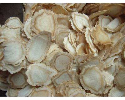 西洋參泡水喝的功效，全方位為你分析