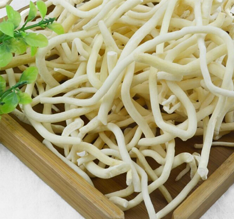 通利血脈 通草的功效與作用及禁忌介紹