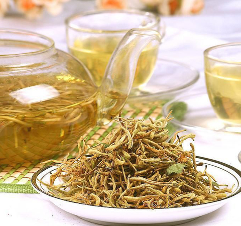 抗炎解毒 金銀花茶的功效與作用及禁忌介紹