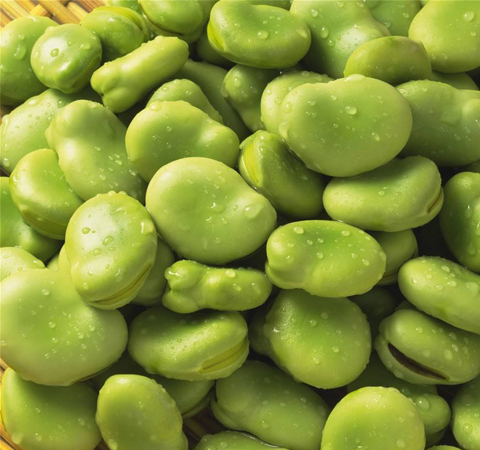 利濕消腫 蠶豆的功效與作用及吃法介紹