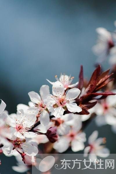 回南天如何防潮 學(xué)會(huì)這6個(gè)防潮秘籍輕松搞定