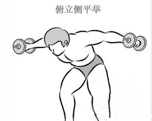 三角肌鍛煉方法，一套教你變猛男