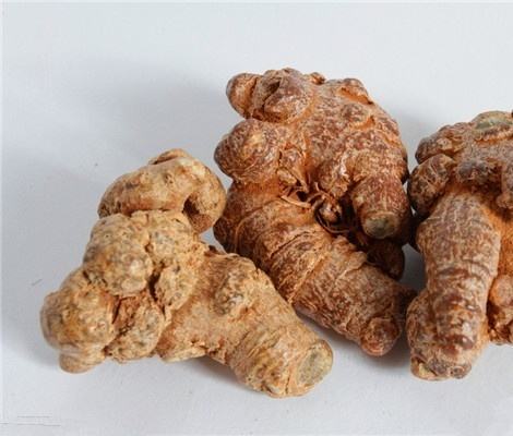 三七粉的作用與功效的詳細(xì)解析