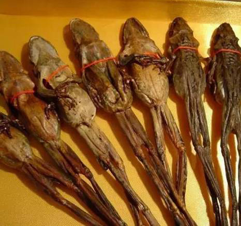 延緩衰老 蛤蟆油的功效與作用及吃法介紹