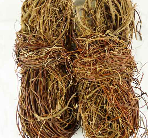 清熱解毒 雞骨草的功效及吃法介紹