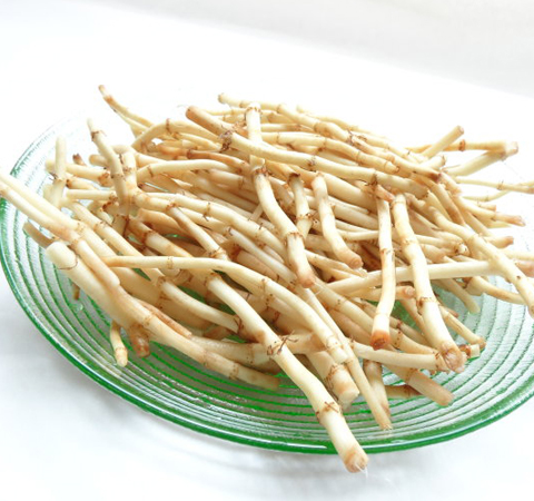 清熱解毒 魚腥草的副作用和功效介紹