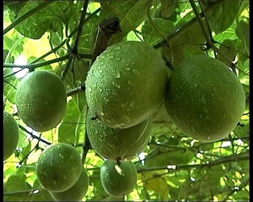 延緩衰老的方法，這些很多人都還不知道