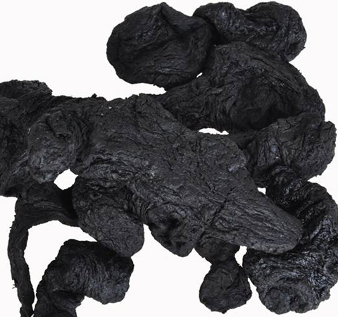 提高免疫功能 熟地的功效與作用及副作用介紹