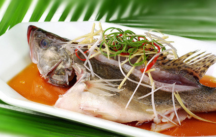 桂魚怎么做好吃 桂魚的營養(yǎng)價值及家常做法