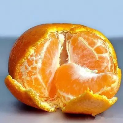 橘子皮的功效  10種供銷作用