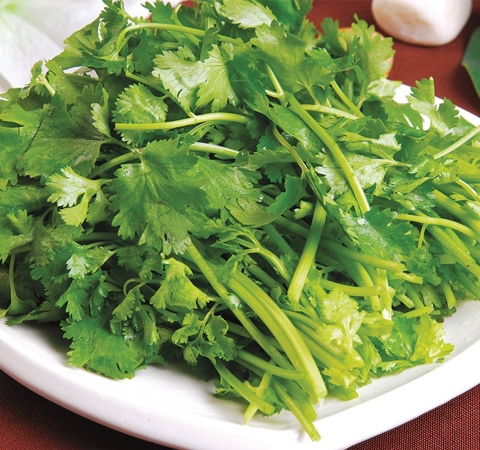 和胃調(diào)中 香菜的營(yíng)養(yǎng)價(jià)值和功效介紹
