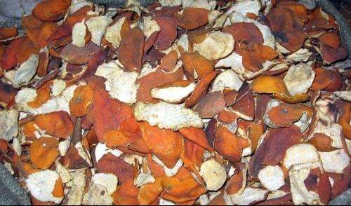 陳皮的功效與作用 預防疾病還能美容