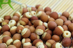 補(bǔ)脾止泄 芡實(shí)的作用與功效及吃法介紹