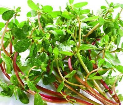 皮膚過敏怎么辦 這6種偏方幫助你康復(fù)