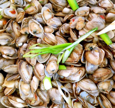 滋陰化痰 海瓜子的營養(yǎng)價值和功效介紹