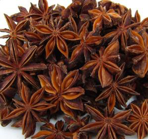 溫補腎陽 大茴香的功效與作用及副作用介紹
