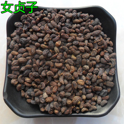 女貞子的功效與作用及其藥理作用