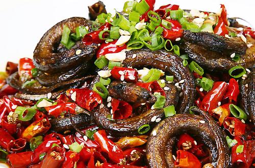 黃鱔的營養(yǎng)價值     富含蛋白質(zhì)和DHA