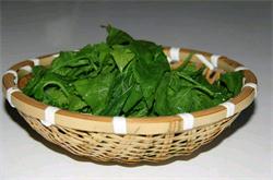 桑葉的作用與功效 桑葉有什么副作用