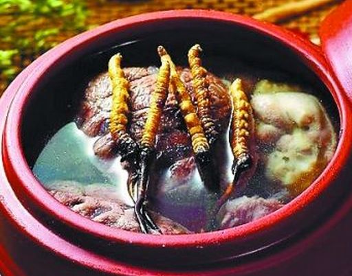 大補(bǔ)藥材蟲(chóng)草的吃法及其功效