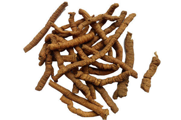 遠(yuǎn)志的作用與功效及其食療方法