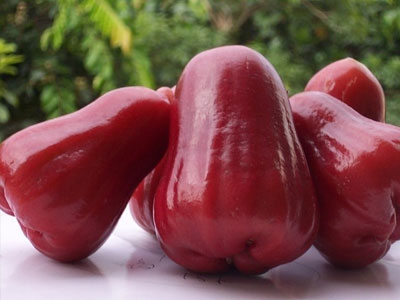 蓮霧怎么吃，蓮霧的吃法有哪些